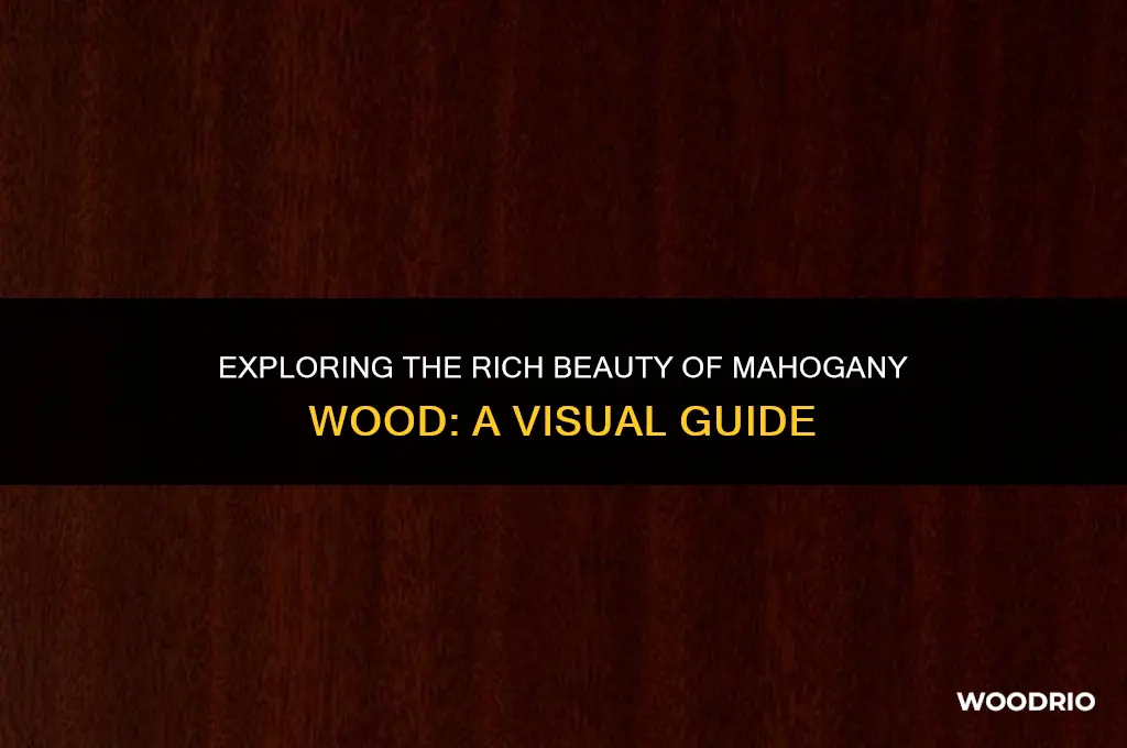 what does mahogany wood look like