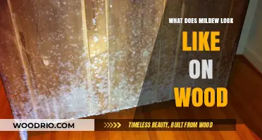 Identifying Mildew on Wood: A Visual Guide