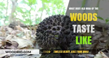 Exploring the Unique Flavor Profile of Old Man of the Woods Mushroom