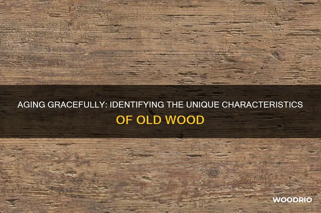 what does old wood look like