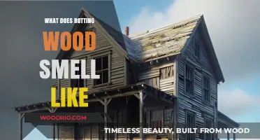Unveiling the Mysteries of Rotting Wood: A Comprehensive Guide