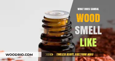 Unveiling the Mystique: What Does Sandalwood Truly Smell Like?