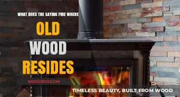 Fire Where Old Wood Resides: Unraveling the Meaning Behind the Saying
