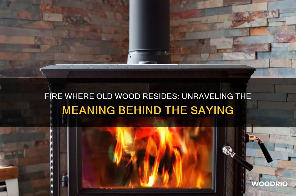 what does the saying fire where old wood resides