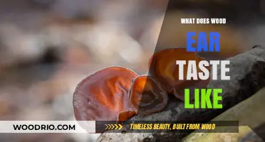 Exploring the Unique Flavor Profile of Wood Ear Mushrooms