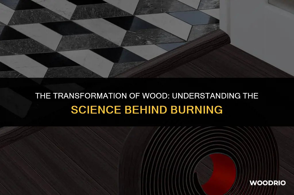 what does wood turn into when burned