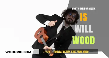 Exploring the Eclectic Musical Universe of Will Wood: Genre Blends and Beyond