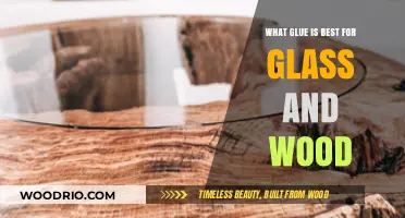 The Ultimate Guide to Choosing the Best Glue for Glass and Wood Projects