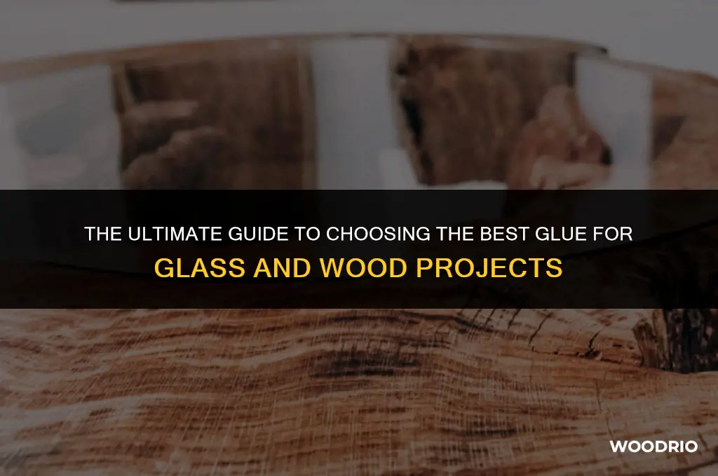 what glue is best for glass and wood