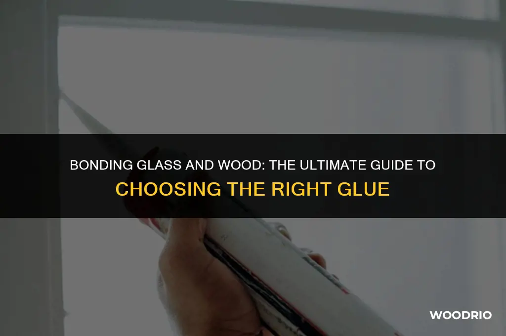 what glue will hold glass and wood together