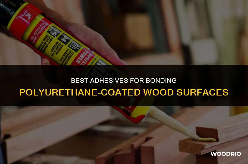 what glue will work on polyurethane coated wood
