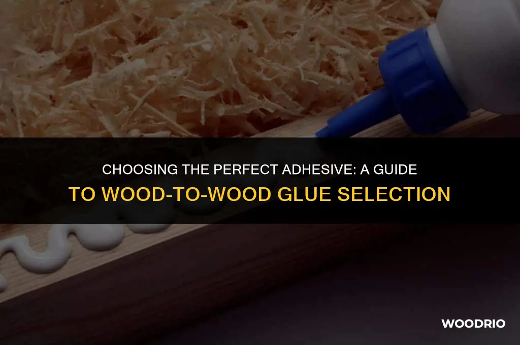 what glue would work best for wood to wood