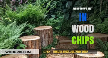 Thriving in Wood Chips: A Guide to Optimal Garden Growth