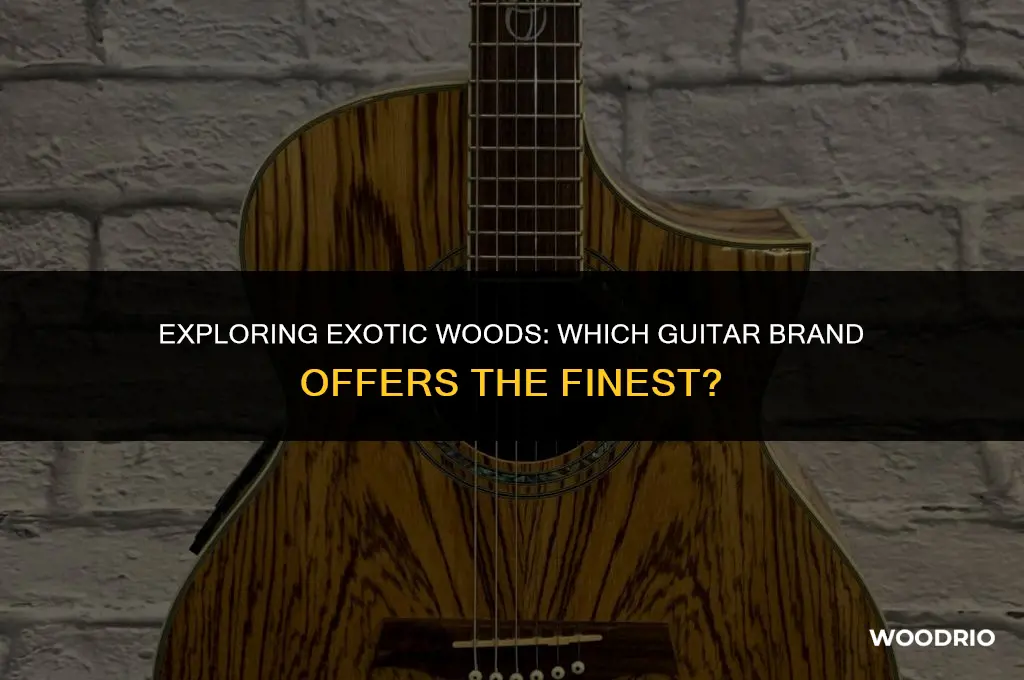 what guitar brand has the best exotic wood