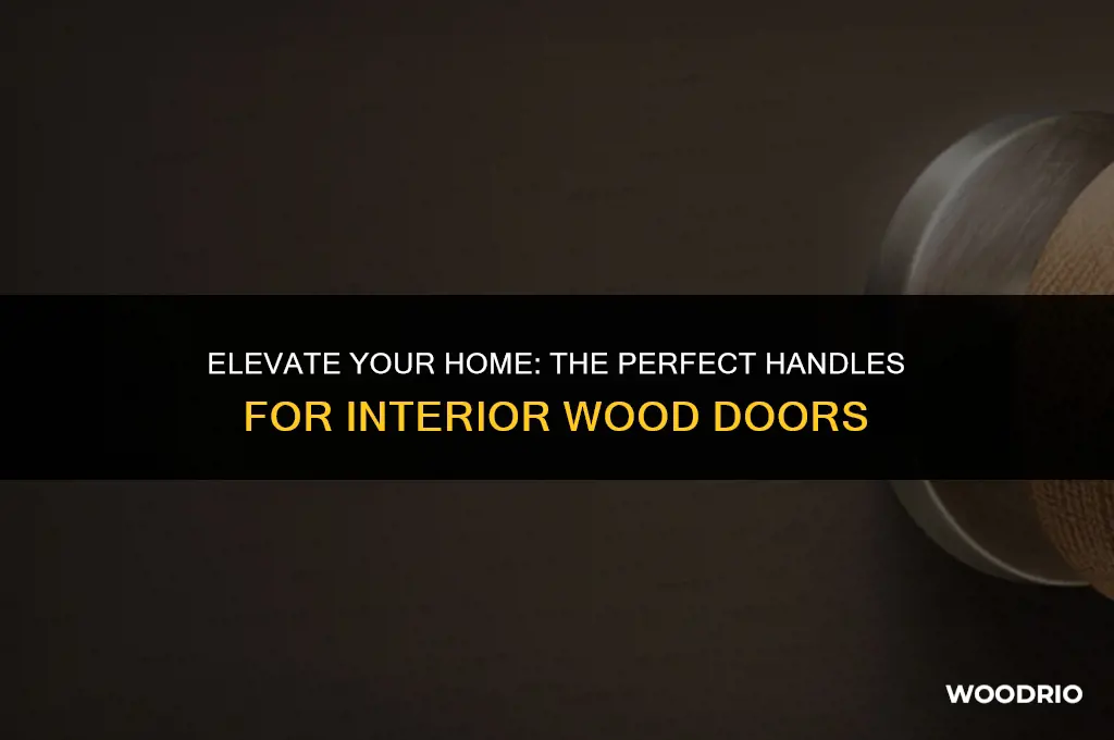 what handles look best interior wood door