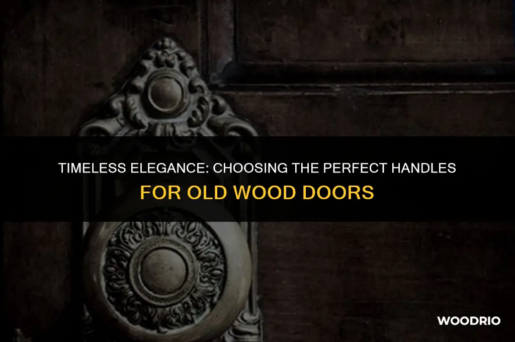 what handles look best on old wood doors