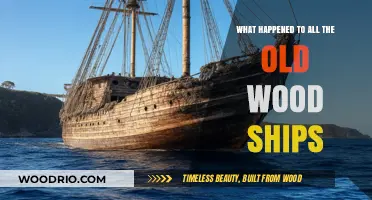 The Mysterious Fate of the World's Lost Wooden Ships
