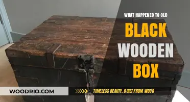 The Mysterious Disappearance of the Old Black Wooden Box