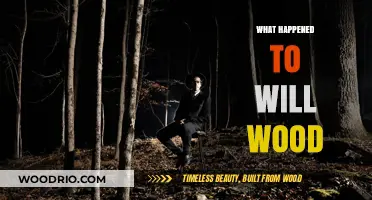 Unraveling the Mystery: What Happened to Will Wood?