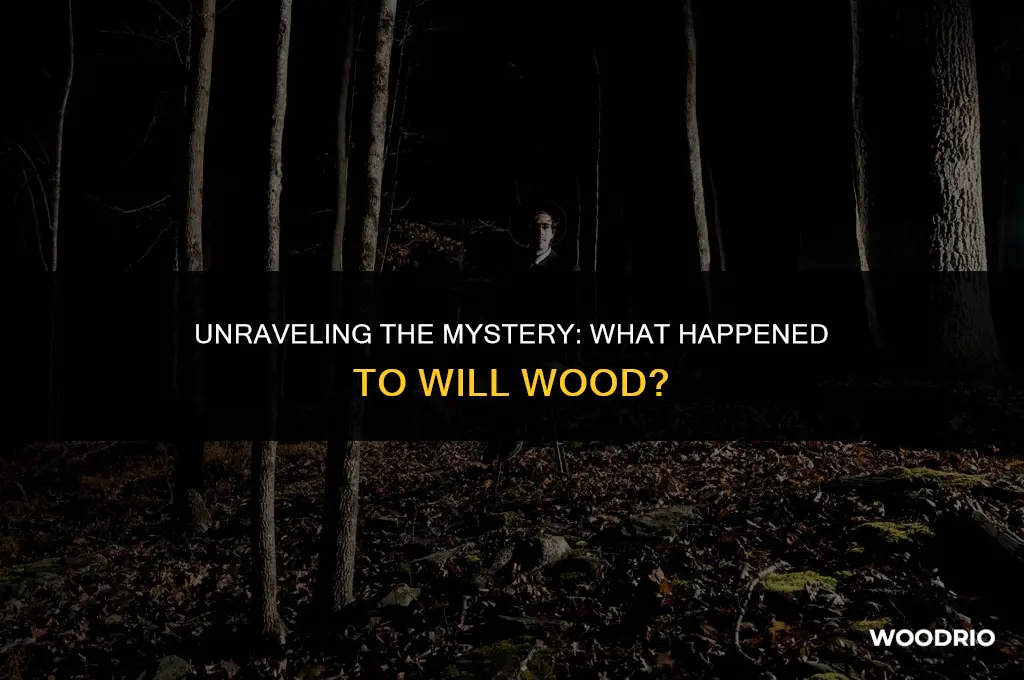 what happened to will wood