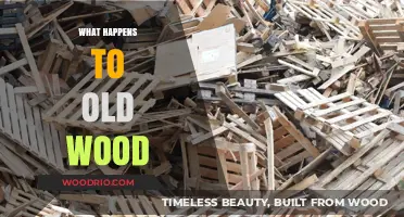 The Journey of Aged Timber: Recycling, Reclaiming, and Revitalizing Old Wood