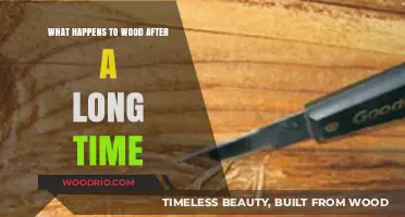 The Aging of Wood: Decay, Preservation, and Timeless Transformation Explained