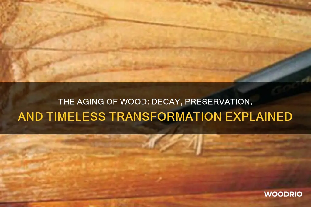 what happens to wood after a long time