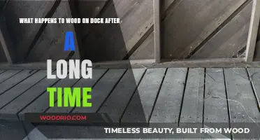 Aging Dock Wood: Weathering, Decay, and Long-Term Durability Explained