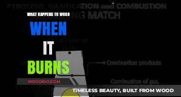 The Science of Combustion: Understanding Wood's Transformation When It Burns