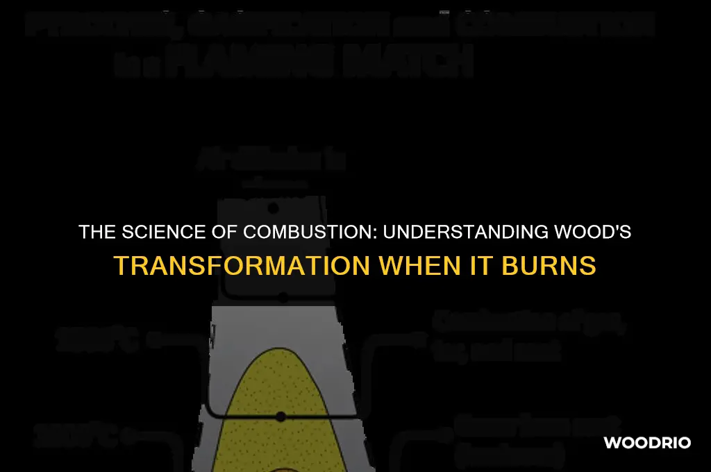 what happens to wood when it burns