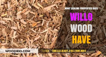 Unlocking Nature's Remedies: The Healing Properties of Willow Wood
