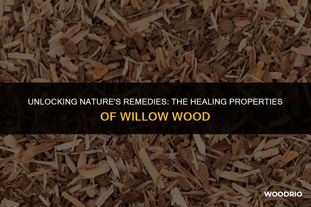 what healing properties does willo wood have