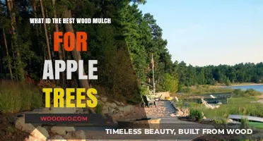 Choosing the Perfect Wood Mulch for Your Apple Trees: A Guide