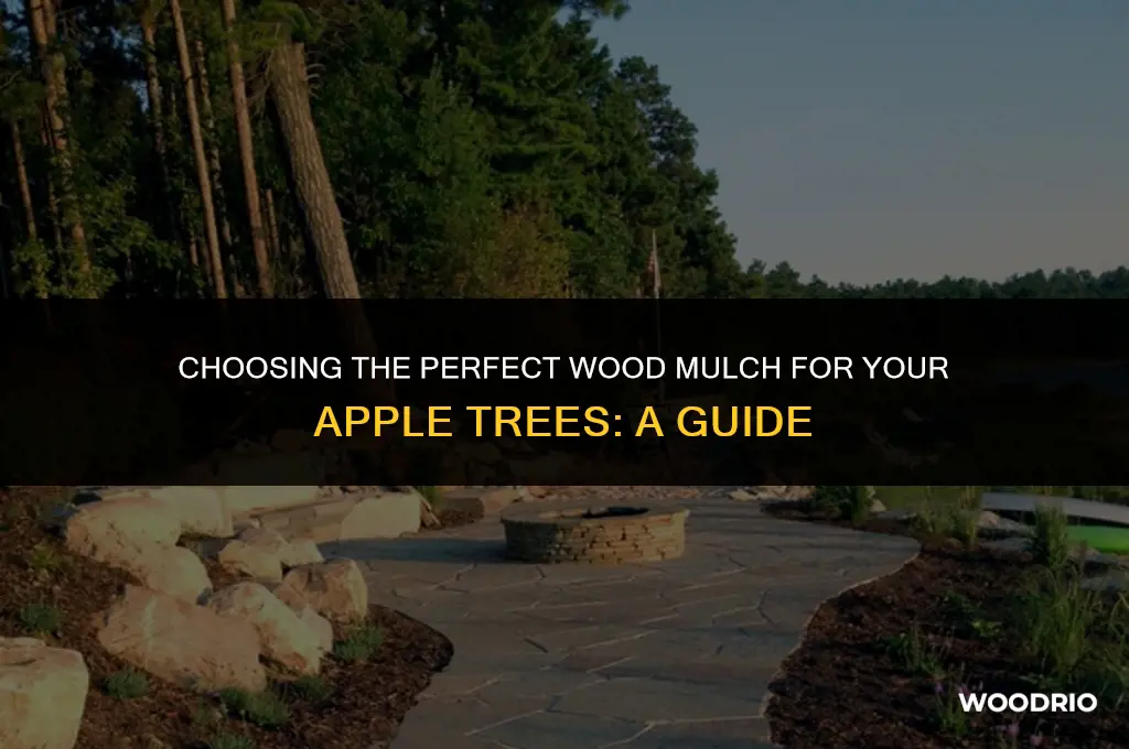 what id the best wood mulch for apple trees