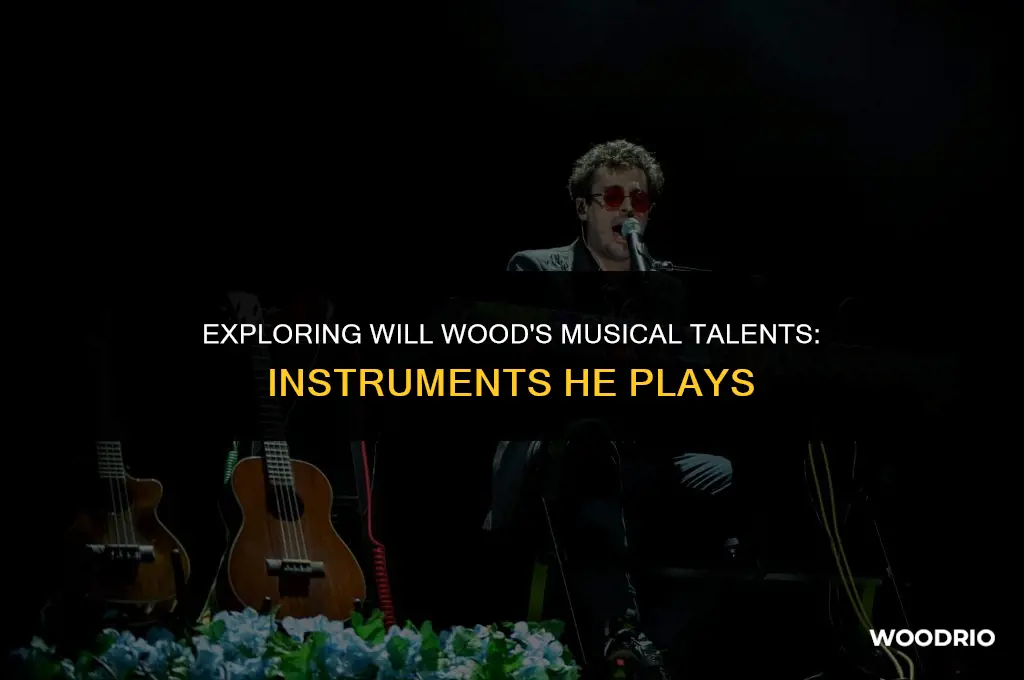 what instruments does will wood play
