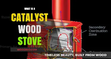 Exploring the Efficiency and Charm of Catalyst Wood Stoves
