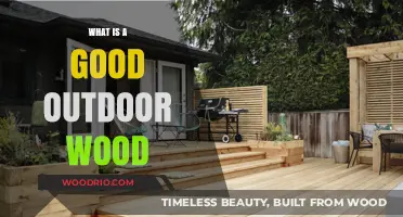 Choosing the Perfect Outdoor Wood: Durability Meets Aesthetics