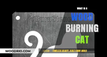 Exploring the Myth: Can Cats Really Burn Wood?