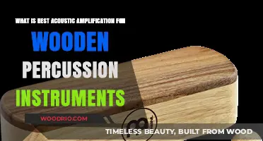 Resonant Rhythms: Exploring the Best Acoustic Amplification for Wooden Percussion Instruments