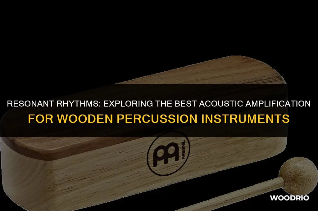what is best acoustic amplification for wooden percussion instruments