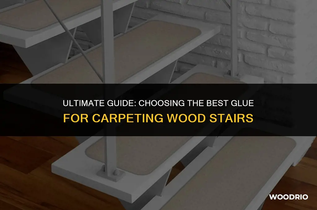 what is best glue for gluing carpet to wood stairs