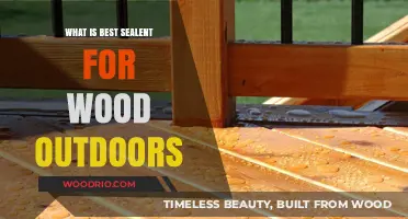 Top Outdoor Wood Sealants: Protecting Your Timber Investments