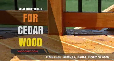 Protecting Cedar Wood: A Comprehensive Guide to the Best Sealers