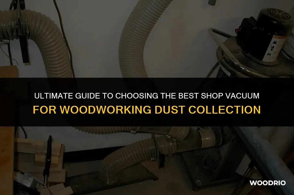 what is best shop vacuum for wood shop dust collection