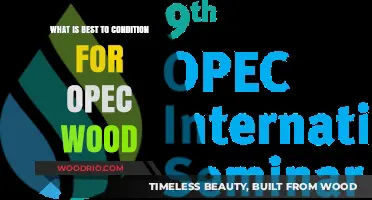 Unlocking the Beauty: Optimal Conditioning for OPEC Wood Surfaces