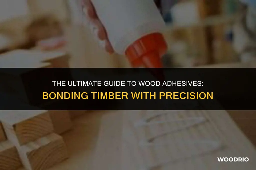 what is best to glue wood to wood