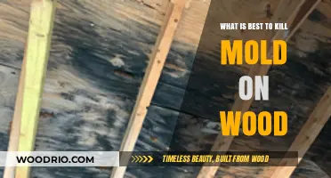 Effective Mold Removal: Top Methods for Treating Wood Surfaces