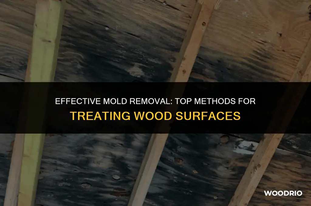 what is best to kill mold on wood