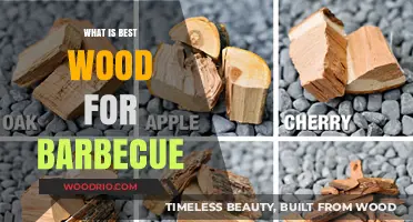 Sizzle and Smoke: Choosing the Perfect Wood for Your BBQ