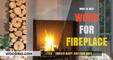 Choosing the Perfect Wood for Your Fireplace: A Comprehensive Guide